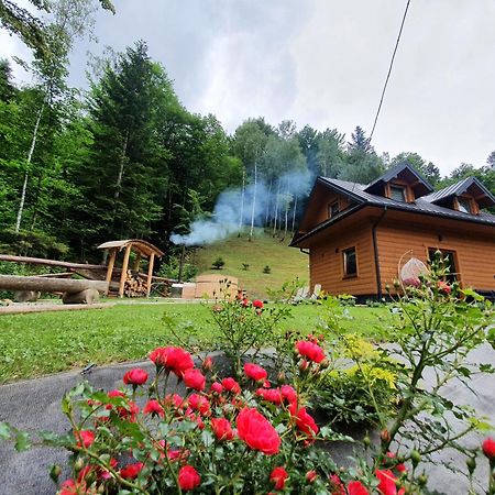 Domek Nad Stawami Ochotnica Dolna Villa Oda fotoğraf