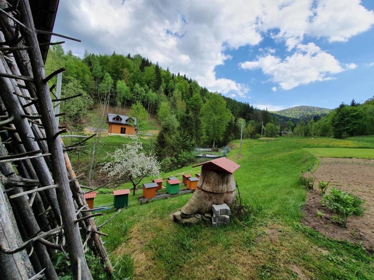 Domek Nad Stawami Ochotnica Dolna Villa Dış mekan fotoğraf