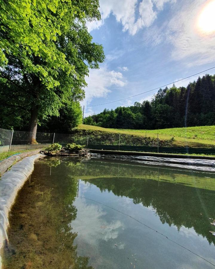 Domek Nad Stawami Ochotnica Dolna Villa Dış mekan fotoğraf