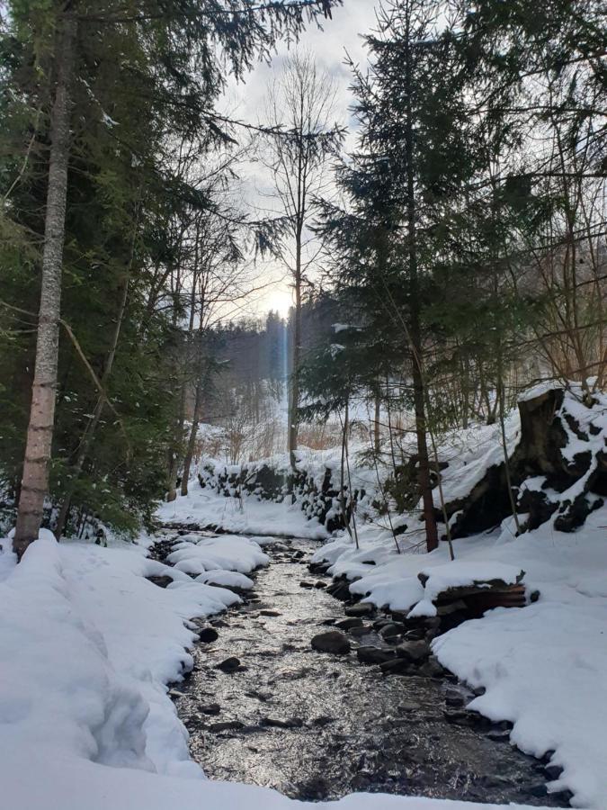 Domek Nad Stawami Ochotnica Dolna Villa Dış mekan fotoğraf