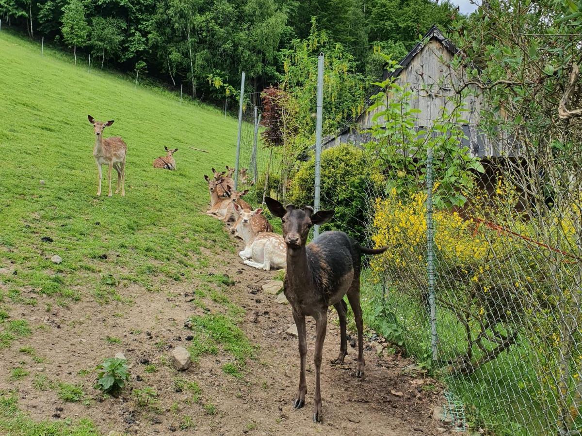 Domek Nad Stawami Ochotnica Dolna Villa Dış mekan fotoğraf