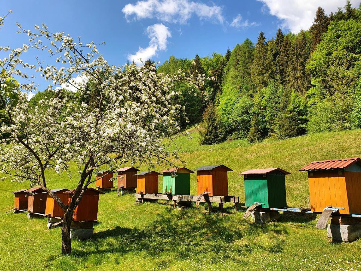 Domek Nad Stawami Ochotnica Dolna Villa Dış mekan fotoğraf