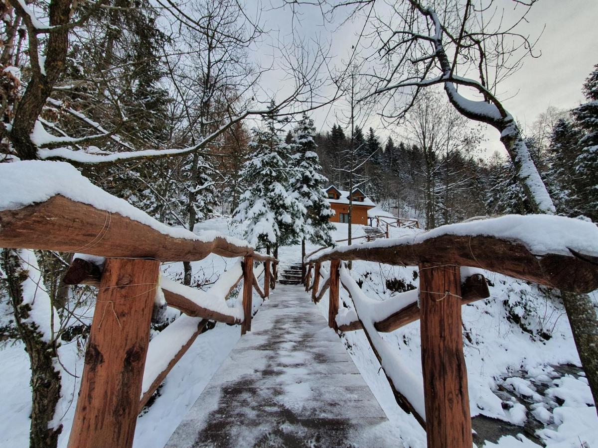 Domek Nad Stawami Ochotnica Dolna Villa Dış mekan fotoğraf