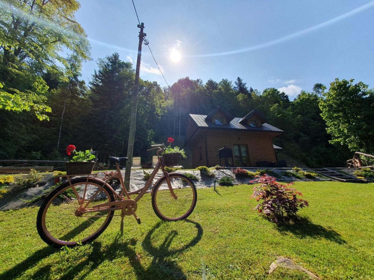 Domek Nad Stawami Ochotnica Dolna Villa Dış mekan fotoğraf